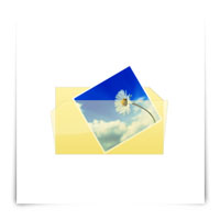gallery folder